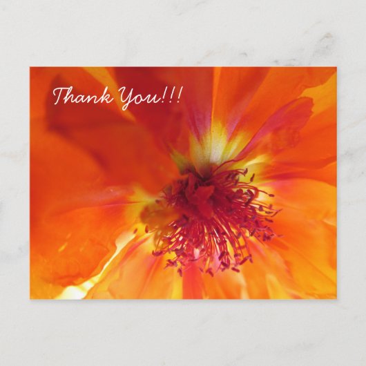 Vielen Dank Postcard mit orangefarbener Blume Postkarte (Vorderseite)