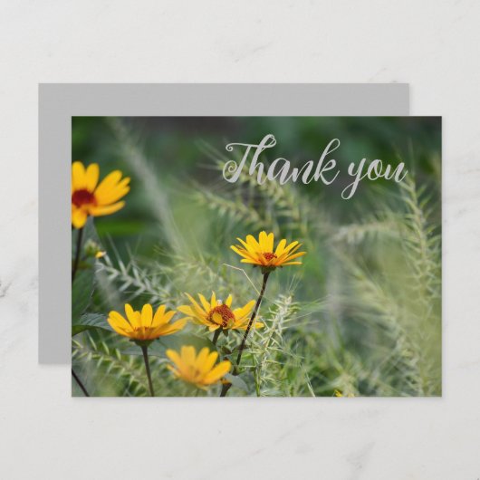 Vielen Dank, Postcard oder verwenden Sie Ihre eige Postkarte (Vorne/Hinten)