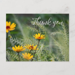 Vielen Dank, Postcard oder verwenden Sie Ihre eige Postkarte