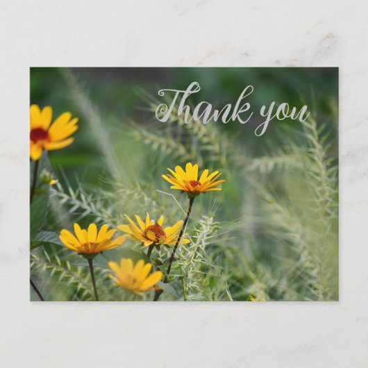 Vielen Dank, Postcard oder verwenden Sie Ihre eige Postkarte (Vorderseite)