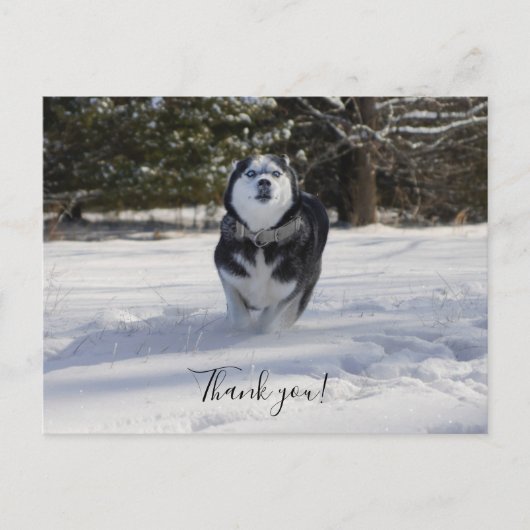 Vielen Dank Postcard Postkarte (Vorderseite)