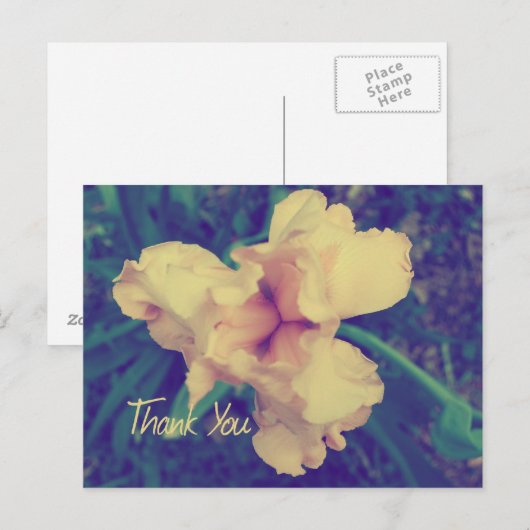 Vielen Dank Postkarte (Vorne/Hinten)