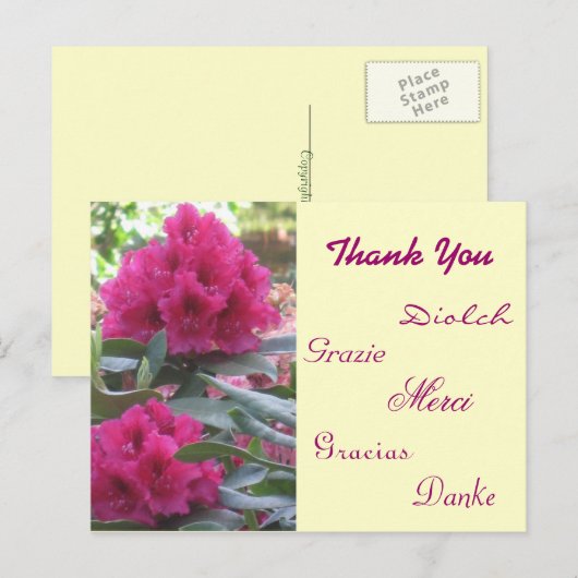 Vielen Dank Postkarte (Vorne/Hinten)