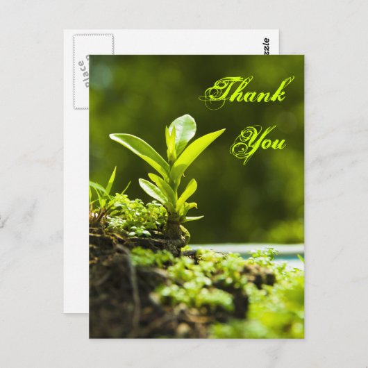 Vielen Dank - Postkarten (Vorne/Hinten)