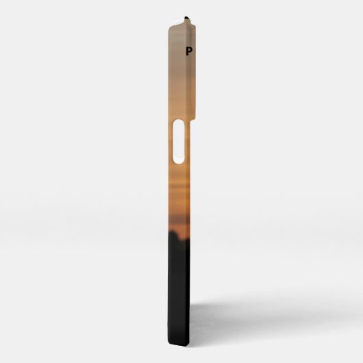 Vielen Dank, Präsident Joe Biden iPhone Hülle (Rechte Seite)