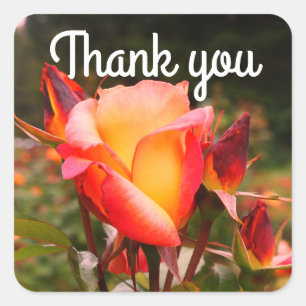 Vielen Dank Rainbow Sorbet Rose #1 Stickers