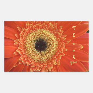 Vielen Dank Rechteckiger Aufkleber