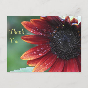 Vielen Dank, Red Sunflower Postkarte