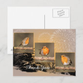 Vielen Dank Robin Tryptych Postcard Postkarte (Vorne/Hinten)
