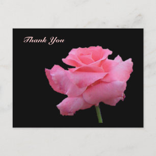 Vielen Dank Rose Postcard Postkarte