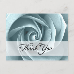 Vielen Dank : Rose : Postkarte