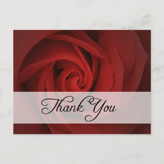 Vielen Dank : Rose : Postkarte (Vorderseite)