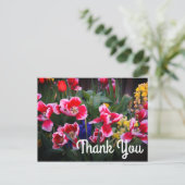 Vielen Dank, Rot und Weiße Tulips Postcard Postkarte (Stehend Vorderseite)