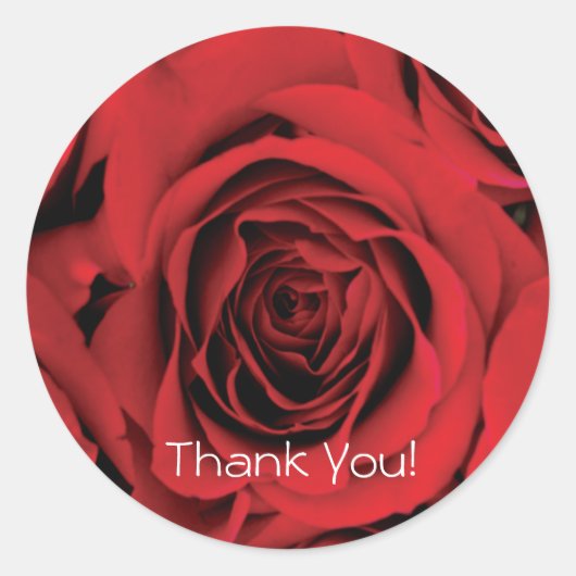 Vielen Dank, Rote Rose Sticker (Vorderseite)
