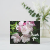 Vielen Dank Sakura Cherry Blossom #2 Postkarte (Stehend Vorderseite)