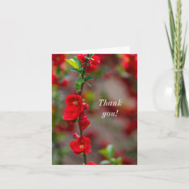 Vielen Dank, Scarlet Line Dankeskarte