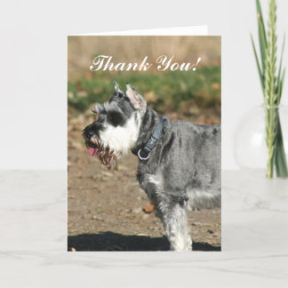 Vielen Dank, Schnauzer Hundekarte Dankeskarte