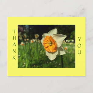 Vielen Dank - Sonnenschein-Blume Postkarte