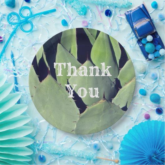 Vielen Dank Southwestern Style erhalten Wertschätz Pappteller (Party)