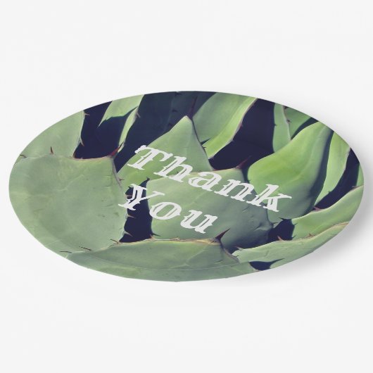 Vielen Dank Southwestern Style erhalten Wertschätz Pappteller (Schrägansicht)