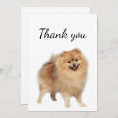 Vielen Dank, Spitz Hund Tier Dankeskarte (Vorne/Hinten)