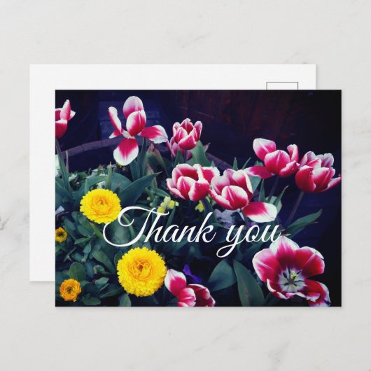 Vielen Dank Spring Flowers #4 Postcard Postkarte (Vorne/Hinten)