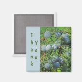 Vielen Dank Spring Pine Berries Foto Wertschätzung Magnet (Vorderseite/Rückseite)