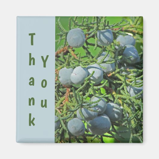 Vielen Dank Spring Pine Berries Foto Wertschätzung Magnet (Vorne)