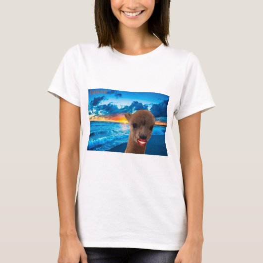 Vielen Dank tee alpaca on beach (Vorderseite)