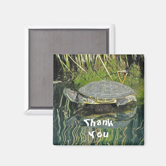Vielen Dank Turtle Foto mit Reflection Nature Magnet (Vorderseite/Rückseite)
