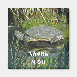 Vielen Dank Turtle Foto mit Reflection Nature Magnet