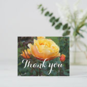 Vielen Dank über die Rose 2 der Postkarte (Stehend Vorderseite)