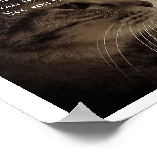 Vielen Dank und RIP Poster (Ecke)