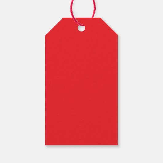 Vielen Dank Watermelon Pattern Melon Fruit Summer Geschenkanhänger (Rückseite)