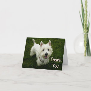 Vielen Dank West Highland Terrier Welpen-Karte Dankeskarte