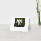Vielen Dank West Highland Terrier Welpen-Karte Dankeskarte (Rückseite)