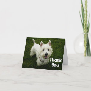 Vielen Dank West Highland Terrier Welpen-Karte Dankeskarte