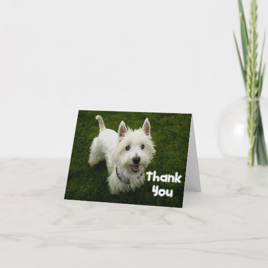 Vielen Dank West Highland Terrier Welpen-Karte Dankeskarte (Vorderseite)