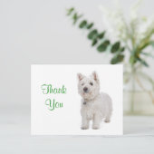 Vielen Dank White Westie Welppy Dog Gruß Postkarte (Stehend Vorderseite)
