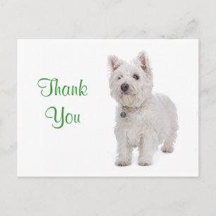 Vielen Dank White Westie Welppy Dog Gruß Postkarte