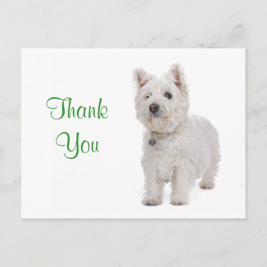 Vielen Dank White Westie Welppy Dog Gruß Postkarte (Vorderseite)