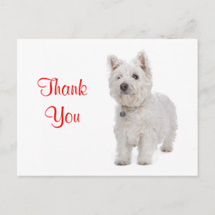Vielen Dank White Westie Welppy Dog Gruß Postkarte