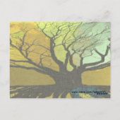 Vielen Dank - Wurzeln - Postkarte (Rückseite)