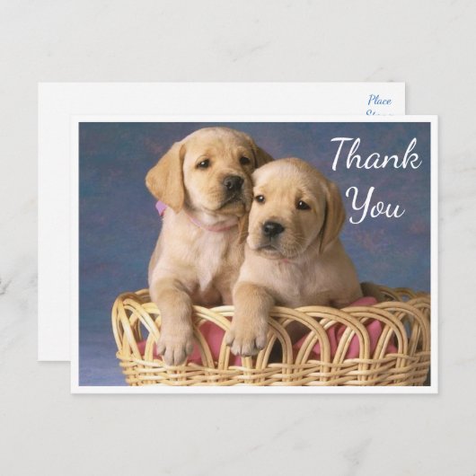 Vielen Dank Yellow Labrador Retriever Puppy Hunde Postkarte (Vorne/Hinten)