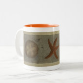 Vielfache von 5, Sand Dollar Starfish Tasse (Vorderseite Links)