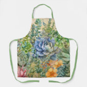 Vielfalt der Sukkulente Schürze (Vorderseite)