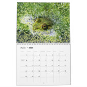 Vielfalt der Tierwelt 2026 Kalender (Mär 2026)