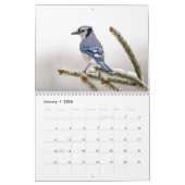 Vielfalt der Tierwelt 2026 Kalender (Jan 2026)