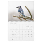 Vielfalt der Tierwelt 2026 Kalender (Jan 2027)