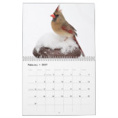 Vielfalt der Tierwelt 2026 Kalender (Feb 2027)